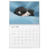 デイジー遊, 2011かわいこちゃん カレンダー (3月 2026)