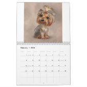 デイジー遊, 2011かわいこちゃん カレンダー (2月 2026)