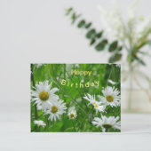 デイジー野生の花お客様。ハッピーバースデーはがき ポストカード (スタンド正面)