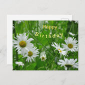 デイジー野生の花お客様。ハッピーバースデーはがき ポストカード (正面/裏面)