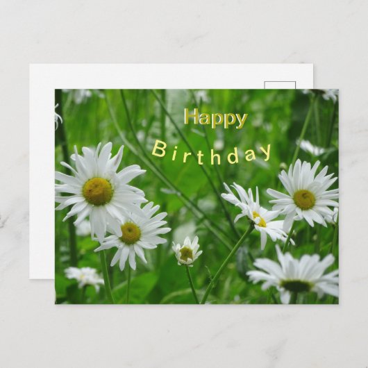 デイジー野生の花お客様。ハッピーバースデーはがき ポストカード (正面/裏面)