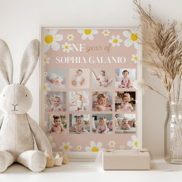 デイジー開花1年目フォトマイルストーンポスター ポスター