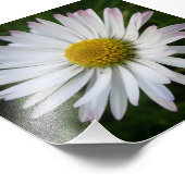 デイジー闇 フォトプリント            (角)