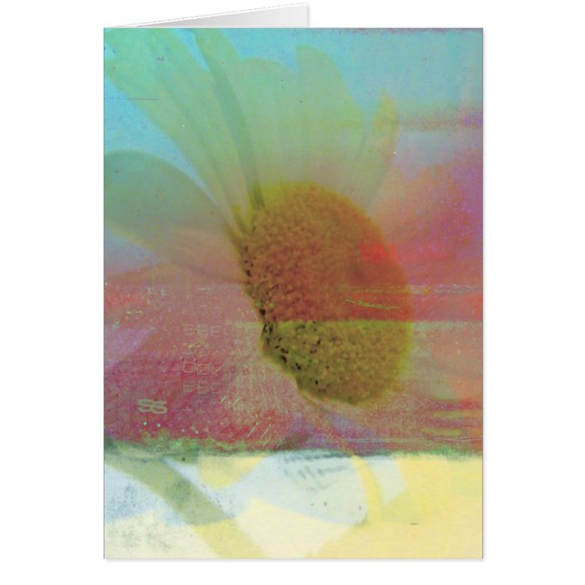 デイジー (正面)