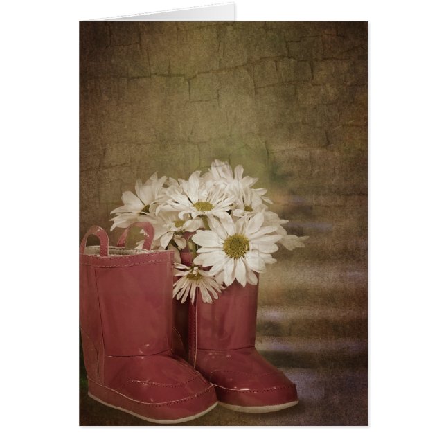 デイジー (正面)