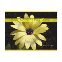 デイジー2母の日 | ブルービーチソング™はがき