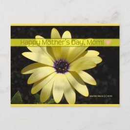 デイジー2母の日 | ブルービーチソング™はがき ポストカード