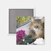 デイジー4 マグネット (正面/裏面)