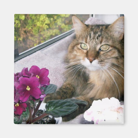 デイジー4 マグネット (正面)