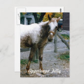 "デイジー"アパロオサフィリー ポストカード (正面/裏面)