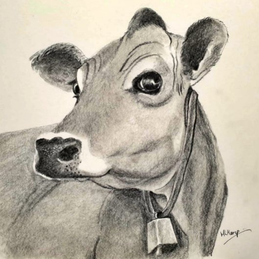 デイジー・カウのグリーティングカード カード