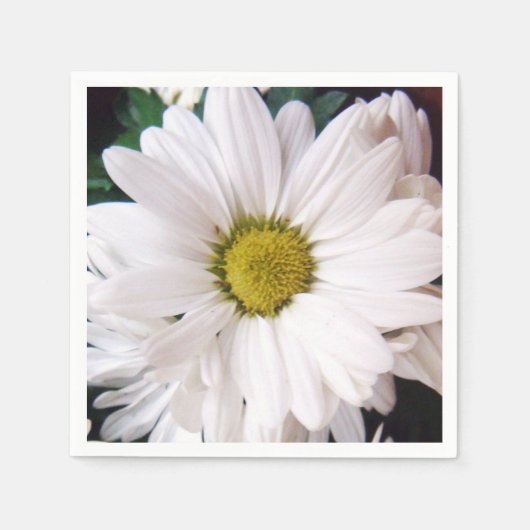 *デイジー*カクテルパーティーナプキンス スタンダードカクテルナプキン (正面)