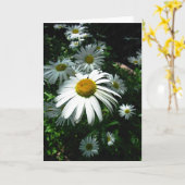 デイジー カード (黄色い花)