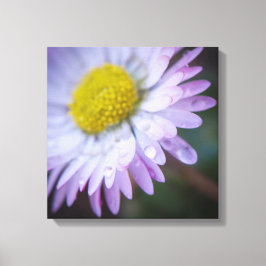 デイジー キャンバスプリント