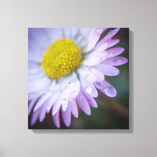 デイジー キャンバスプリント (正面)