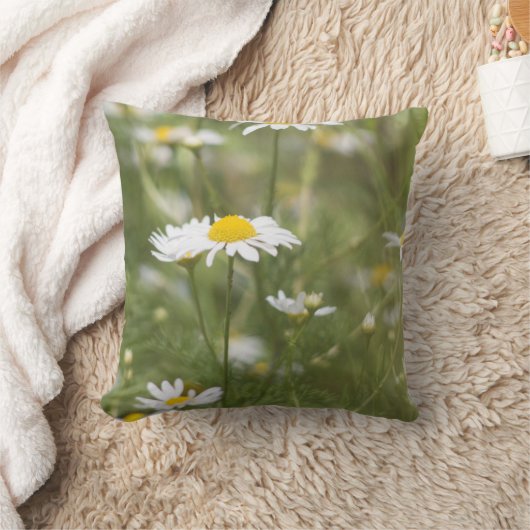 デイジー クッション (ブランケット)