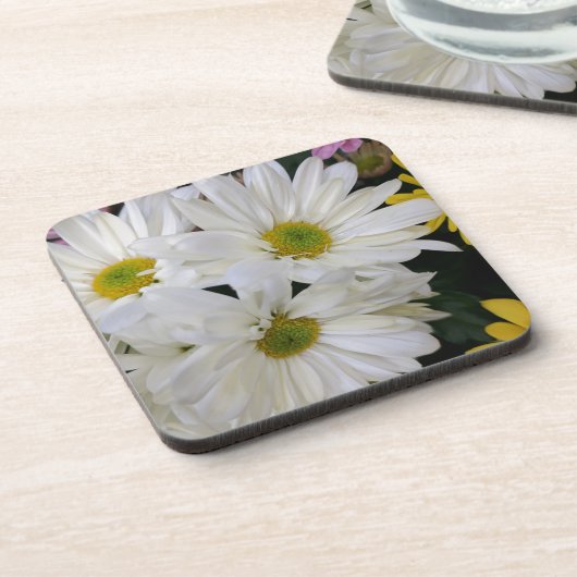 デイジー コースター (左側)