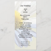 デイジー シャドウ アンド ライト ウェディング サプライ プログラム (正面)