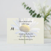 デイジー シャドウ アンド ライト 出欠カード (スタンド正面)