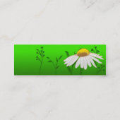 デイジー スキニー名刺 (裏面)