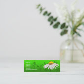 デイジー スキニー名刺 (スタンド正面)