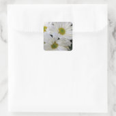 デイジー スクエアシール (バッグ)