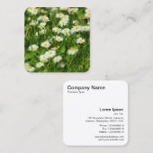 デイジー スクエア名刺 (正面/裏面)