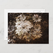 デイジー、セピアグランジ、 ポストカード (正面/裏面)