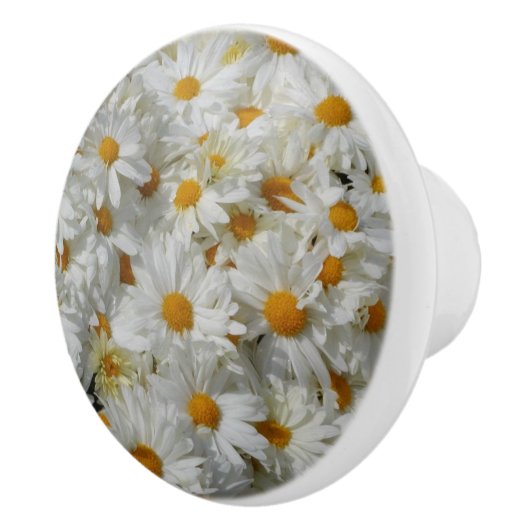 デイジー セラミックノブ (右)