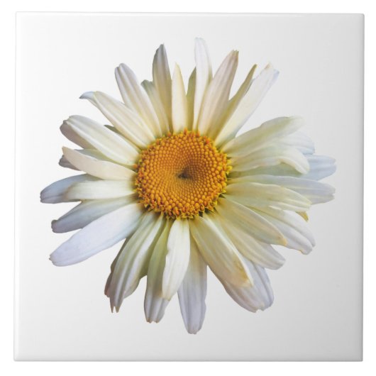 デイジー タイル (正面)