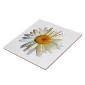 デイジー タイル (側面)