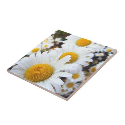 デイジー タイル (側面)