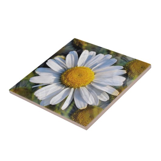 デイジー タイル (側面)