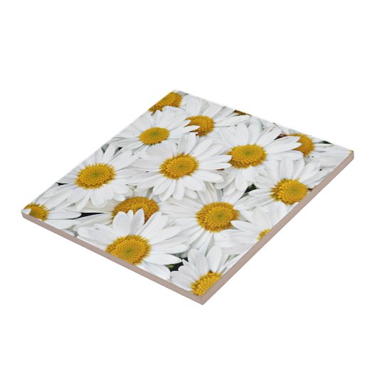 デイジー タイル (側面)