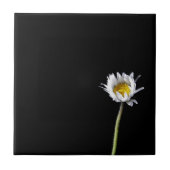 デイジー タイル (正面)
