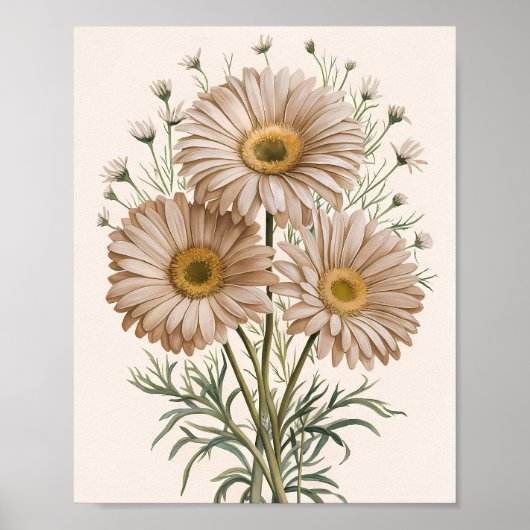 デイジー・デイドリーム ポスター (正面)