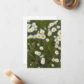 デイジー ノートカード (正面/裏面インサイチュ)