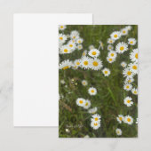 デイジー ノートカード (正面/裏面)