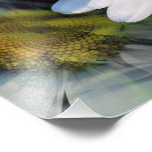 デイジー フォトプリント            (角)