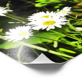 デイジー フォトプリント            (角)