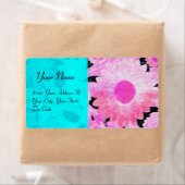 デイジー、ブルーターカーズピンクブラック ラベル (インサイチュ)