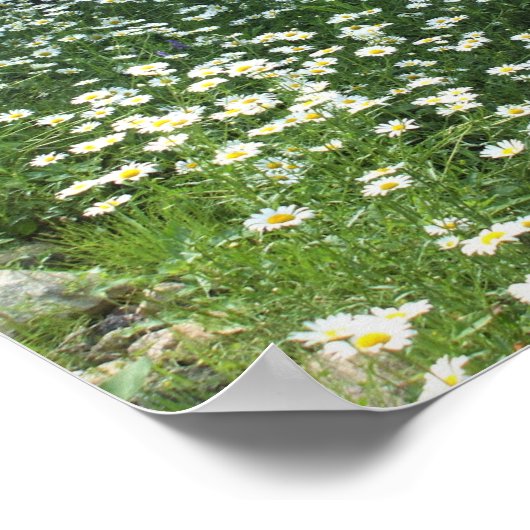 デイジー ポスター (角)