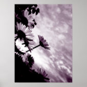 デイジー ポスター (正面)