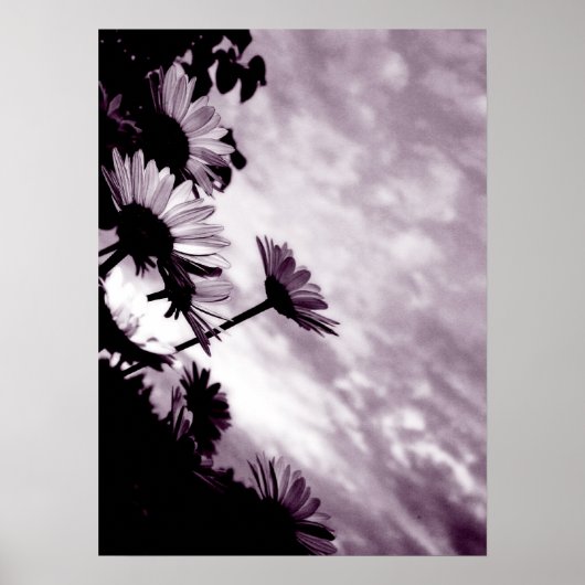 デイジー ポスター (正面)