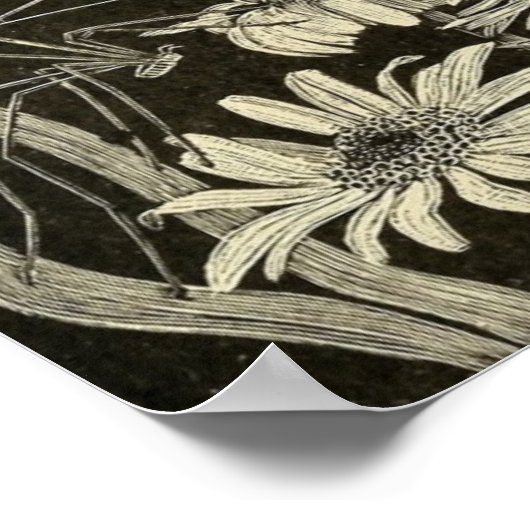 デイジー ポスター (角)