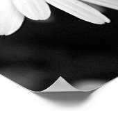 デイジー ポスター (角)