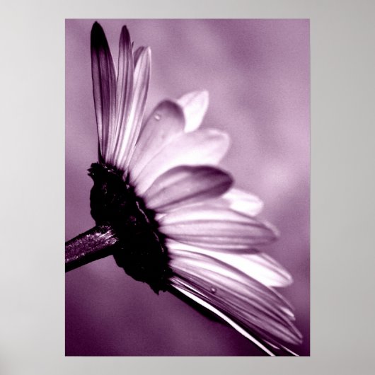 デイジー ポスター (正面)