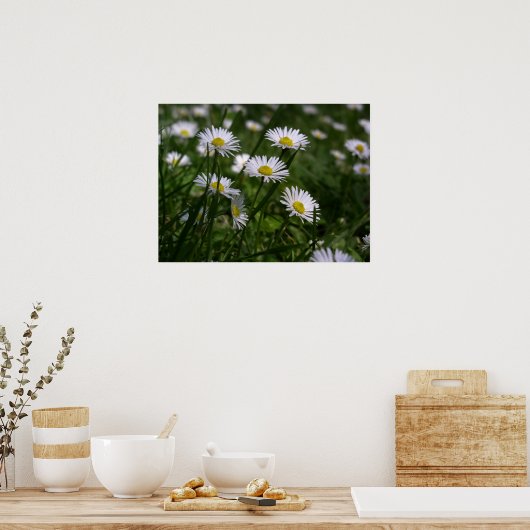 デイジー ポスター (キッチン)