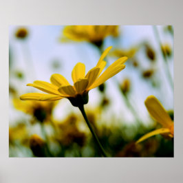 デイジー ポスター