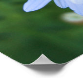 デイジー ポスター (角)